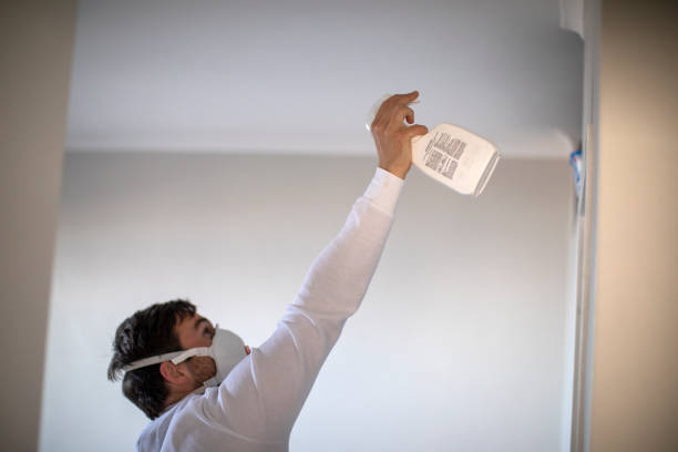 Best Mold Remediation for Specific Building Types in Moorefield, WV